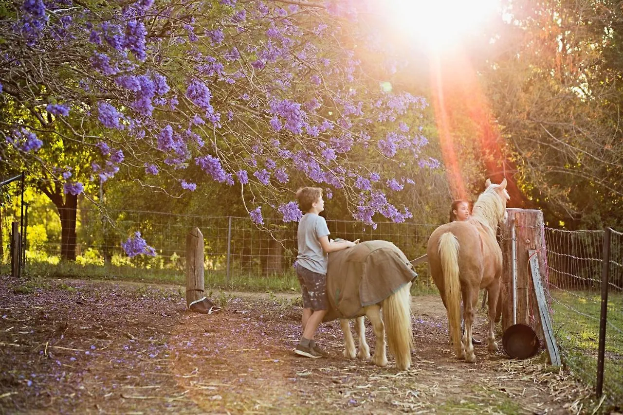 Holiday home Pinbarren Green Lodges Noosa